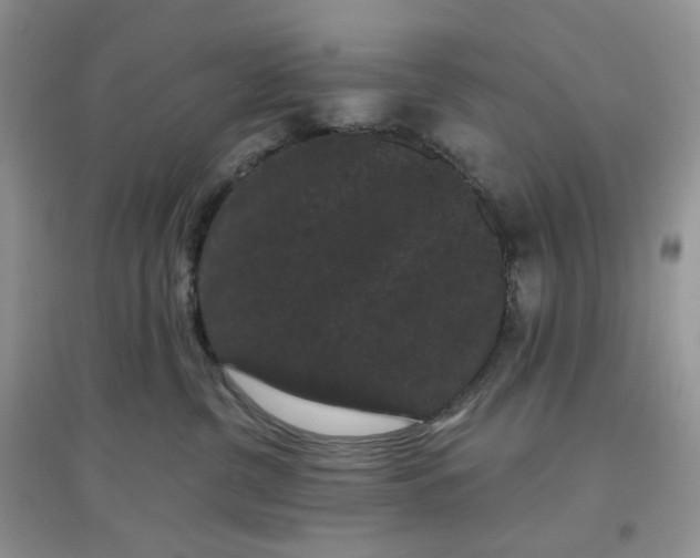 X0000097630380200803142030