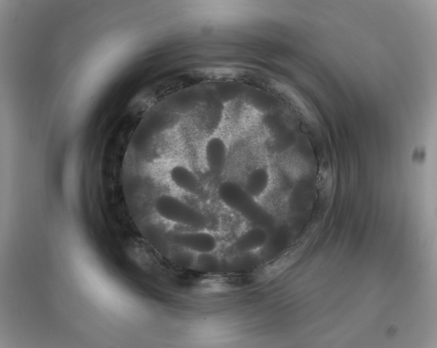 X0000097630381200803142030