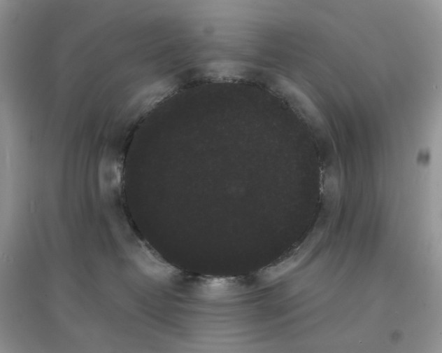 X0000097630382200803142030