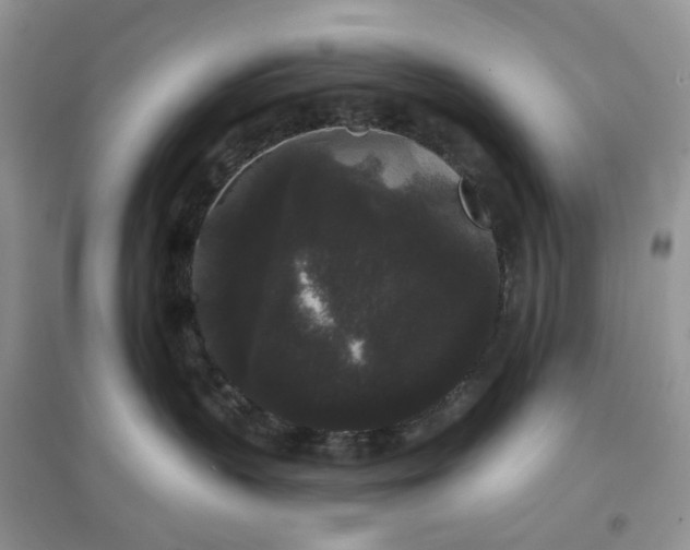 X0000097630383200803142030