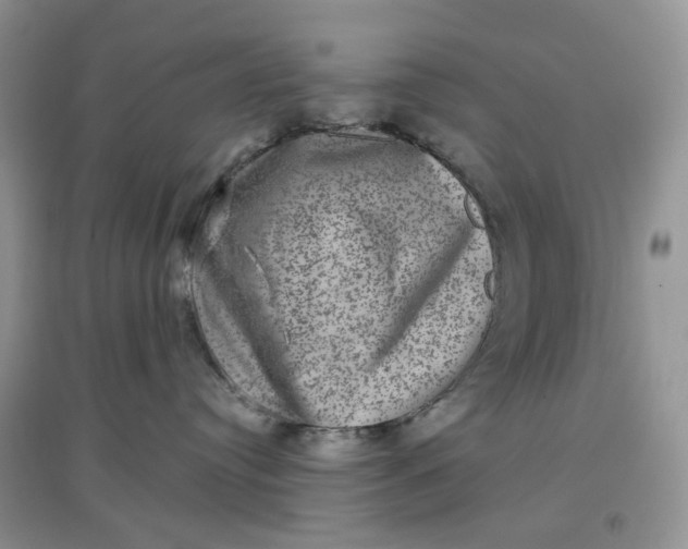 X0000097630384200803142030