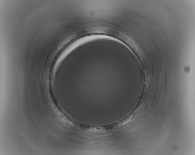 X0000097630386200803142029