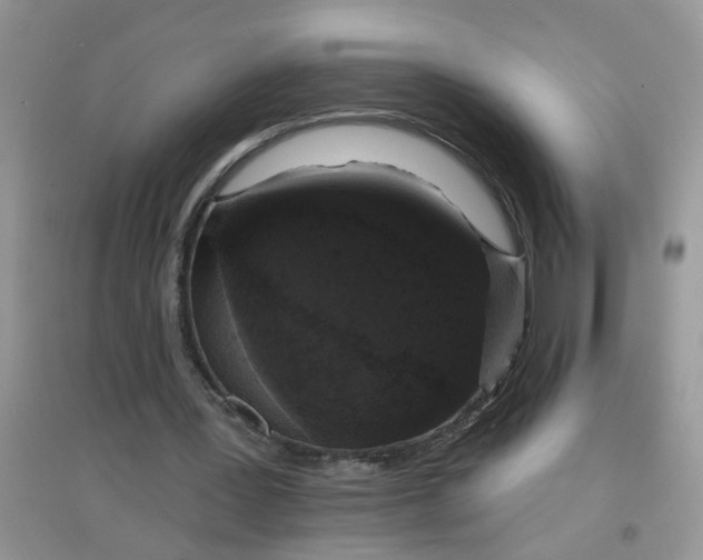 X0000097630387200803142029