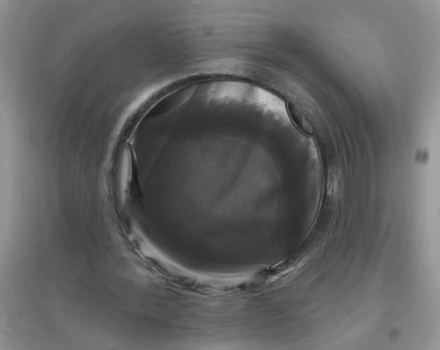 X0000097630388200803142029