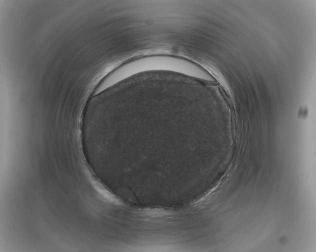 X0000097630389200803142029