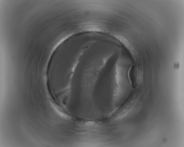 X0000097630390200803142029