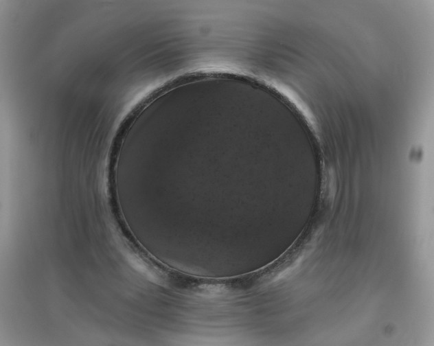 X0000097630391200803142029