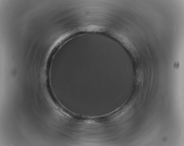 X0000097630392200803142029