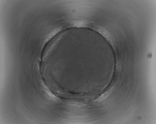 X0000097630393200803142029