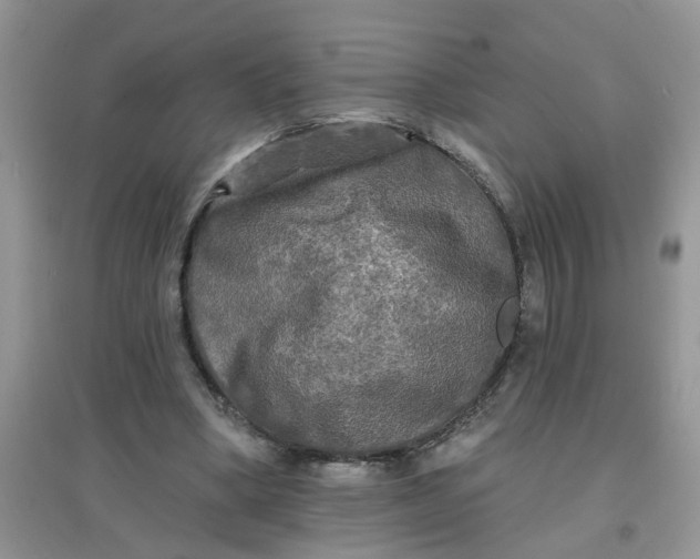 X0000097630394200803142029