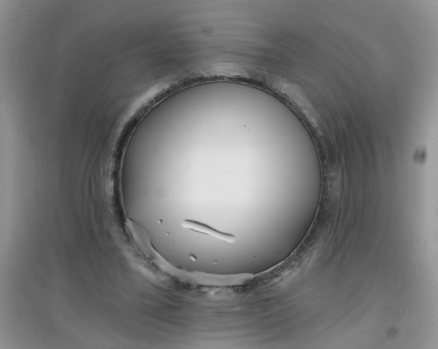 X0000097630395200803142029