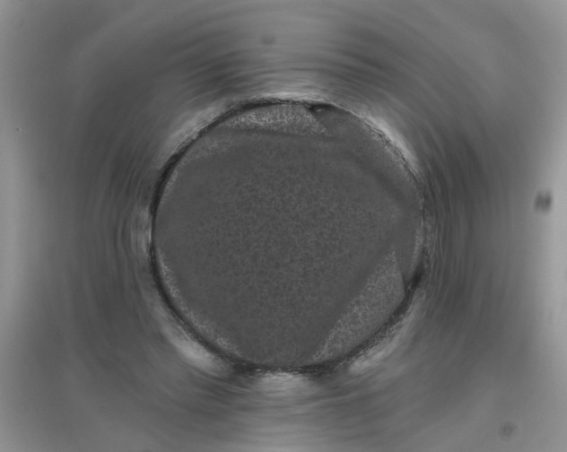 X0000097630397200803142029