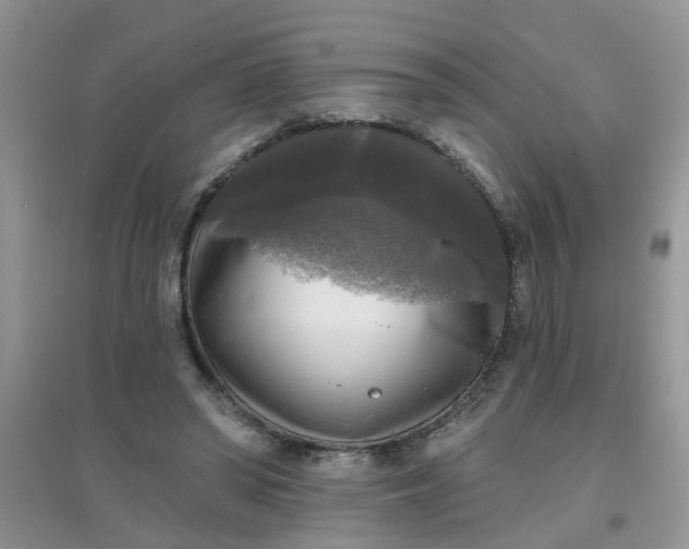 X0000097630398200803142029