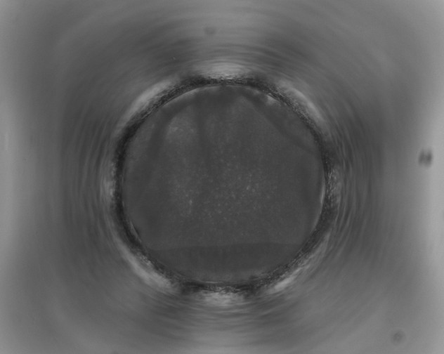 X0000097630400200803142029