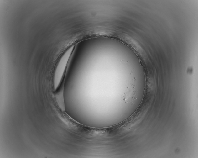 X0000097630401200803142029