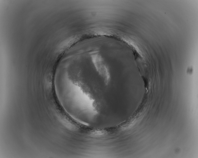 X0000097630402200803142029