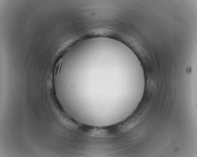 X0000097630403200803142029