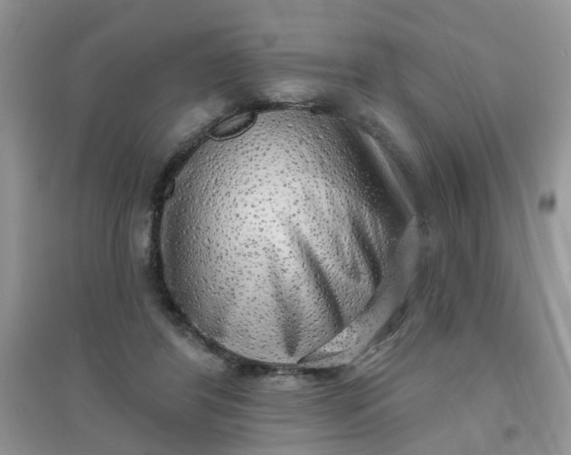 X0000097630404200803142029