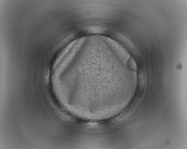 X0000097630406200803142029