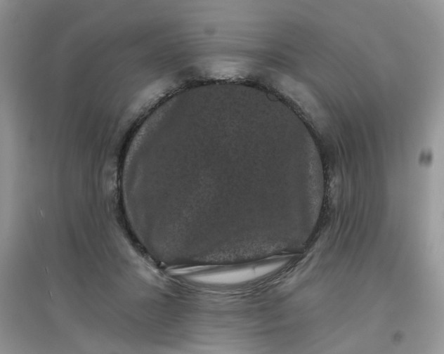 X0000097630407200803142029