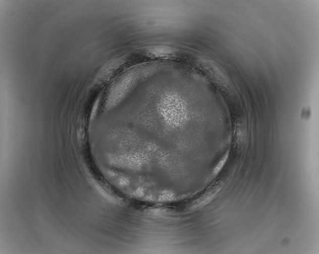 X0000097630408200803142029