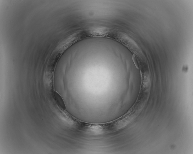 X0000097630409200803142029