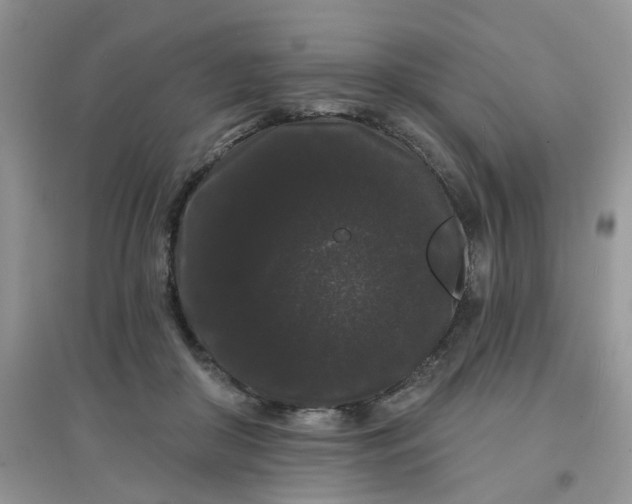 X0000097630410200803142029