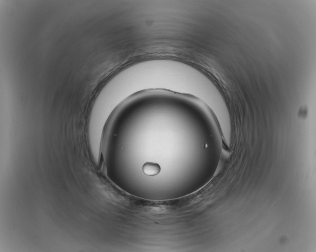 X0000097630411200803142029