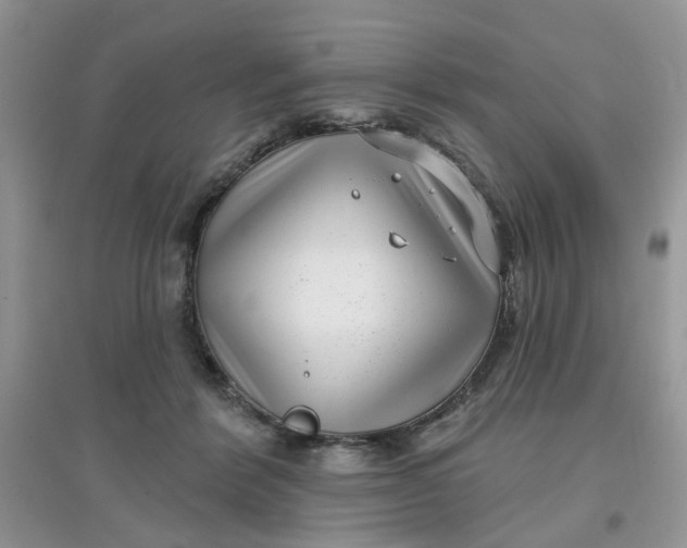 X0000097630412200803142029