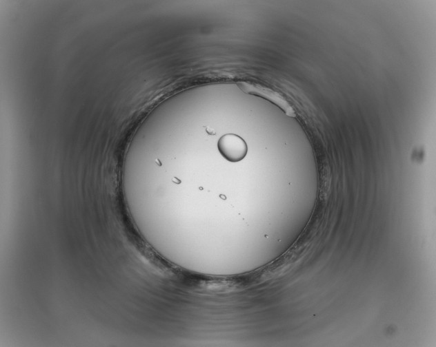 X0000097630414200803142029