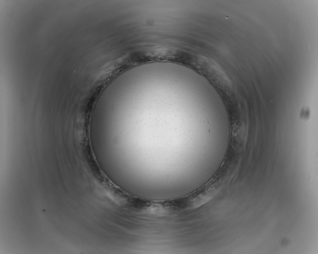 X0000097630416200803142028