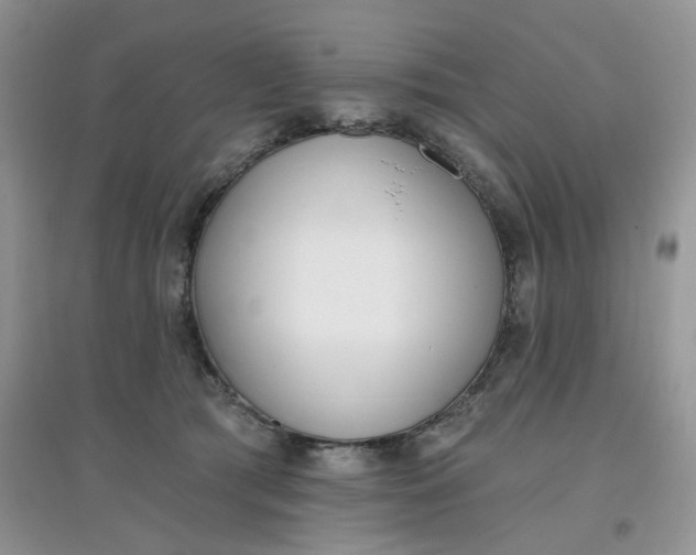 X0000097630417200803142028