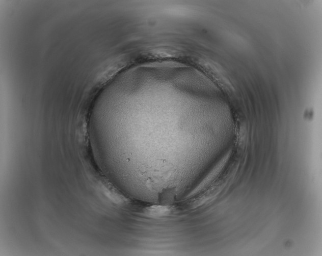 X0000097630418200803142028