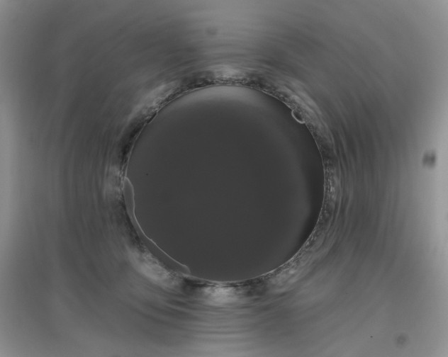 X0000097630419200803142028