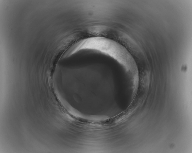 X0000097630420200803142028