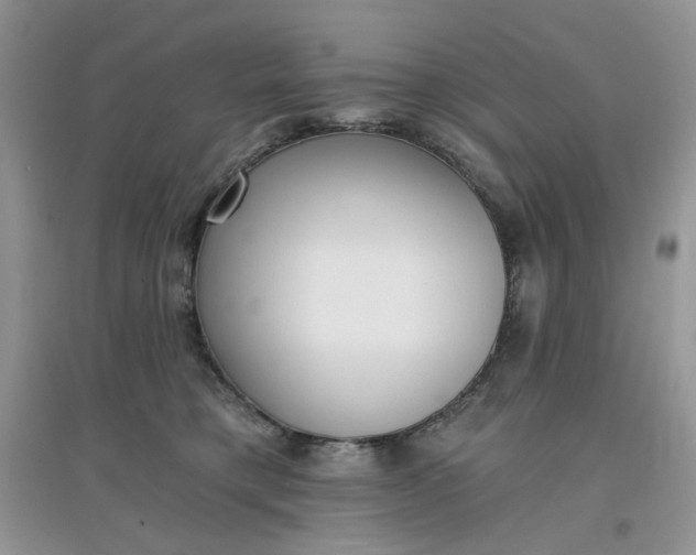 X0000097630421200803142028