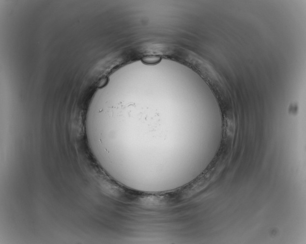 X0000097630422200803142028