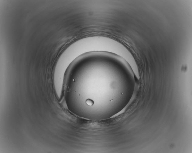 X0000097630423200803142028