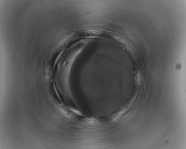 X0000097630424200803142028