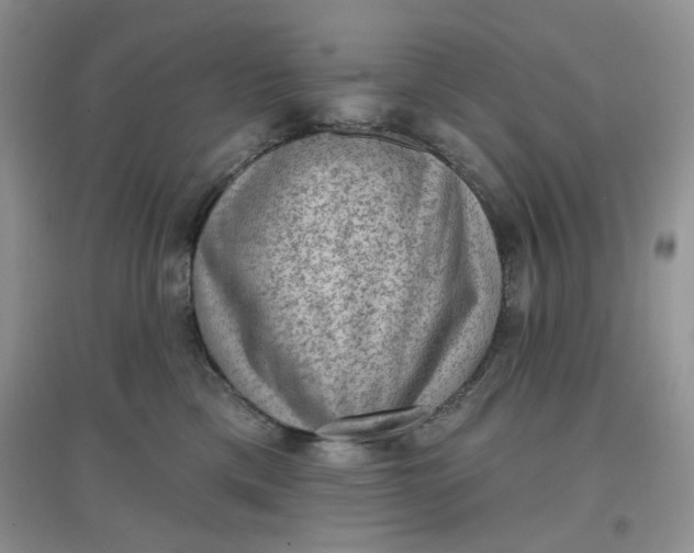 X0000097630425200803142028