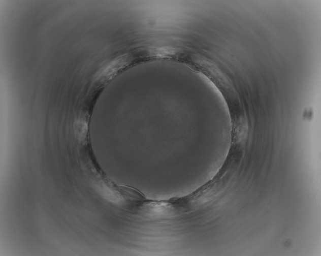 X0000097630427200803142028