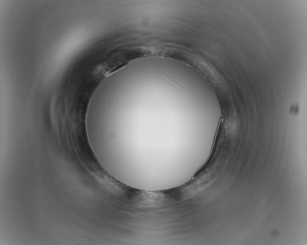 X0000097630429200803142028