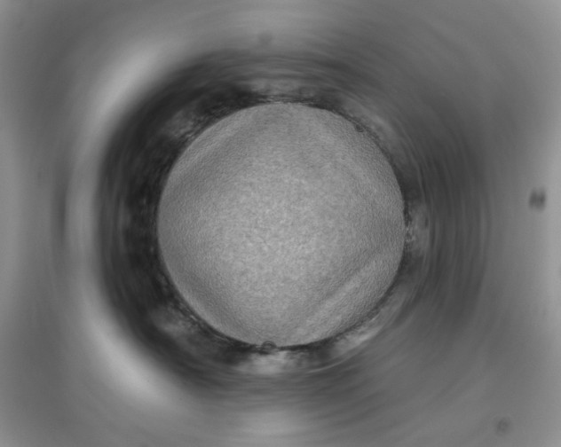 X0000097630430200803142028