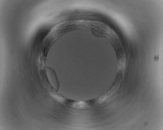 X0000097630431200803142028