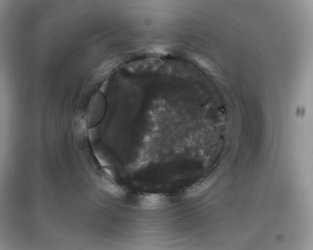 X0000097630432200803142028