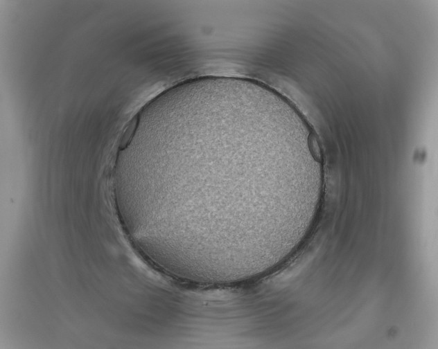 X0000097630433200803142028