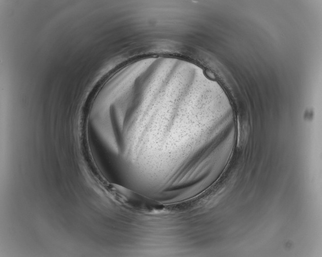 X0000097630435200803142028