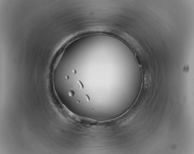 X0000097630436200803142028