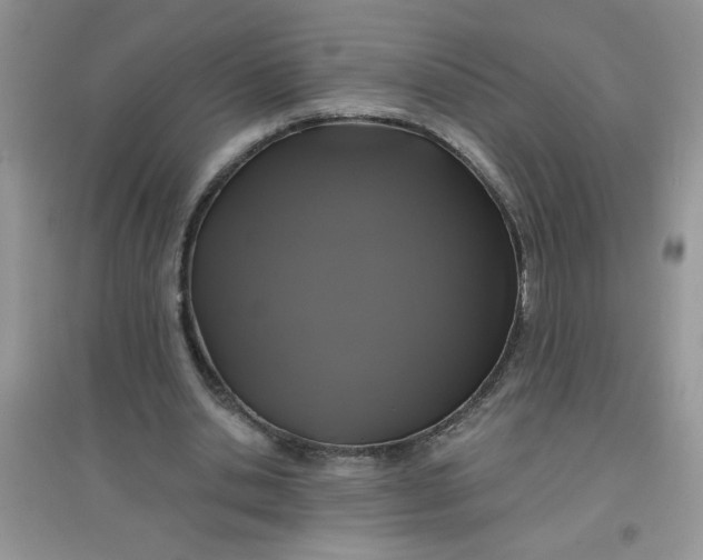 X0000097630438200803142028