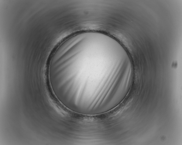 X0000097630439200803142028